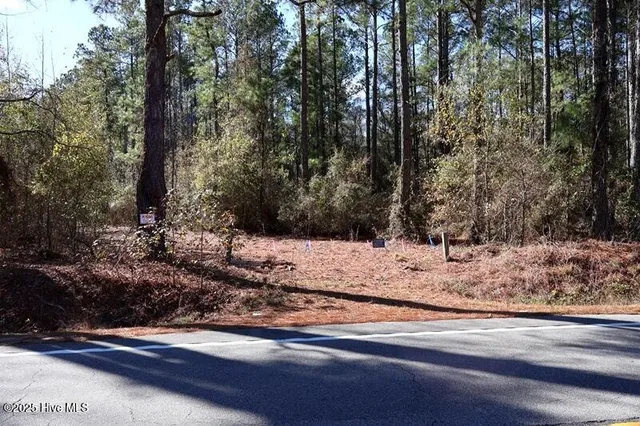 $850,000 | Tbd Tbd Stuart's Mill Road, Rowland, NC 28383