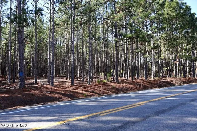 $850,000 | Tbd Tbd Stuart's Mill Road, Rowland, NC 28383