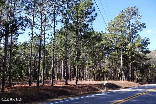 $850,000 | Tbd Tbd Stuart's Mill Road, Rowland, NC 28383