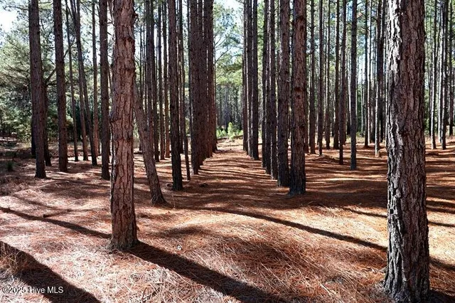 $850,000 | Tbd Tbd Stuart's Mill Road, Rowland, NC 28383