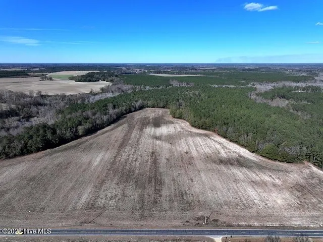 $850,000 | Tbd Tbd Stuart's Mill Road, Rowland, NC 28383