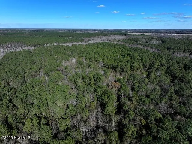 $850,000 | Tbd Tbd Stuart's Mill Road, Rowland, NC 28383