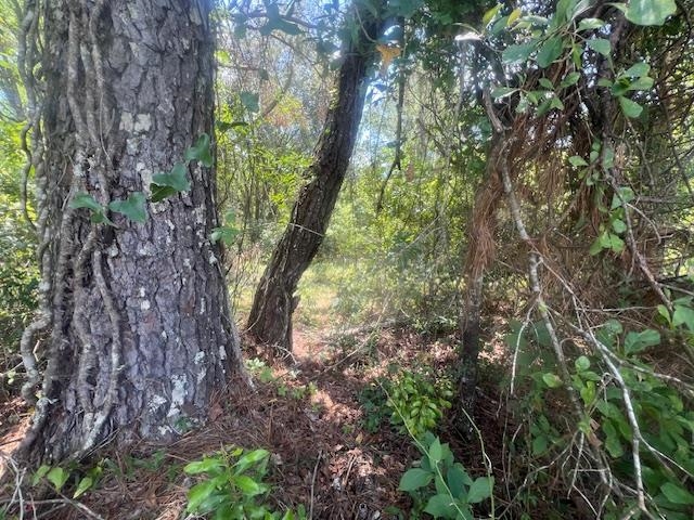 983 Mays Road Monticello, FL 32344 - Photo 8 of 31 Gallery Image 8