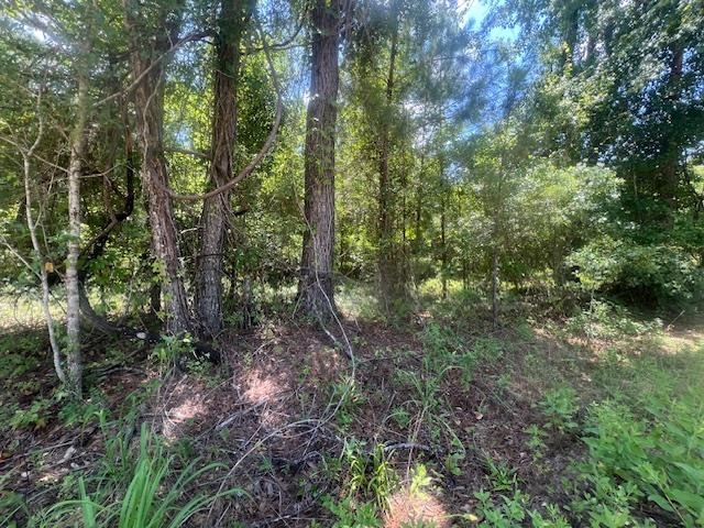 983 Mays Road Monticello, FL 32344 - Photo 9 of 31 Gallery Image 9