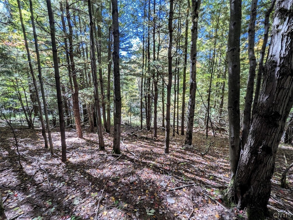 70 A County Road Hornell, NY 14843 - Photo 27 of 37 Gallery Image 27