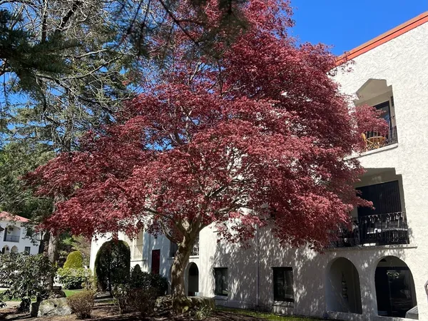$2,450 | 320 Fellsview Terrace, Unit 326C, Stoneham, MA 02180