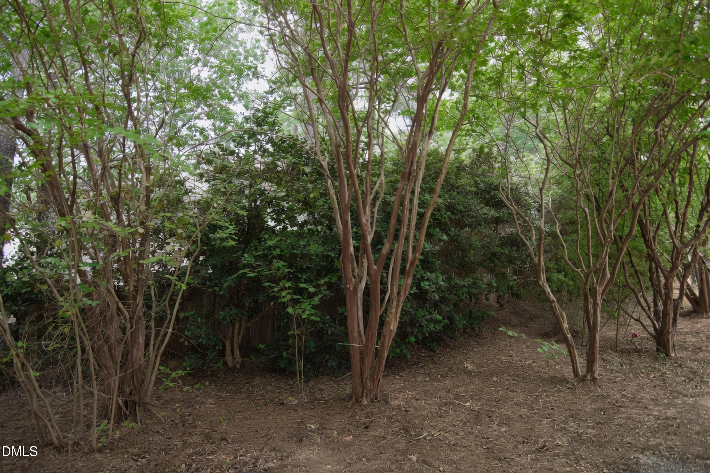 4809 Landover Pine Place Raleigh, NC 27616 - Photo 13 of 14 a view of a forest with trees in the background