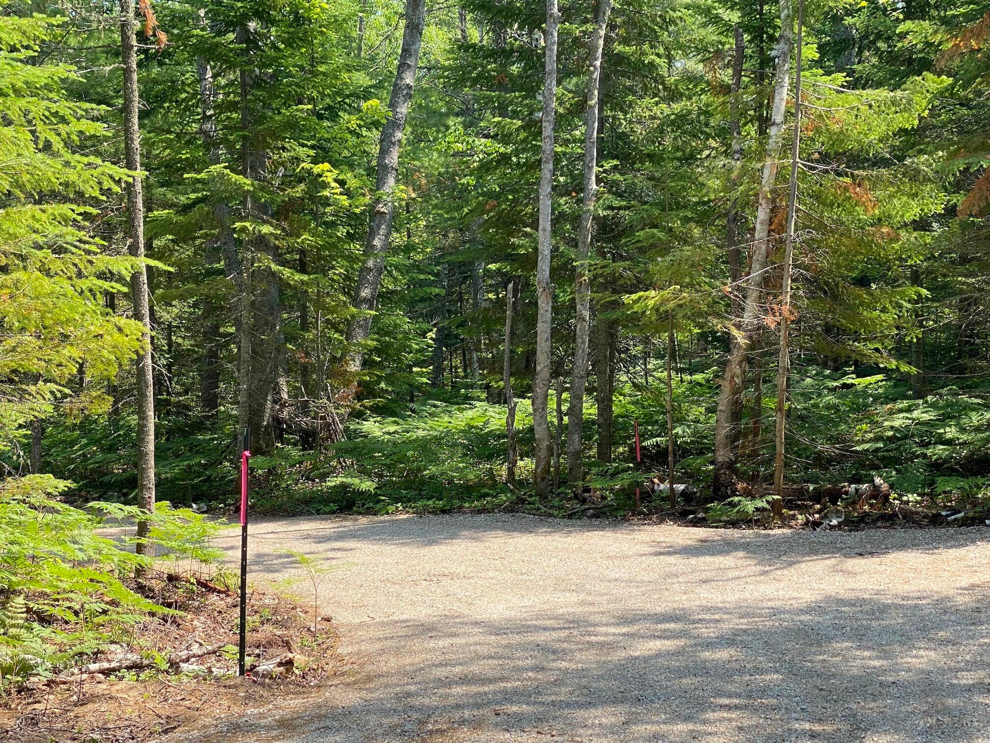 Lot 30 North Whitefish Point Road Paradise, MI 49768 - Photo 3 of 8 Gallery Image 3
