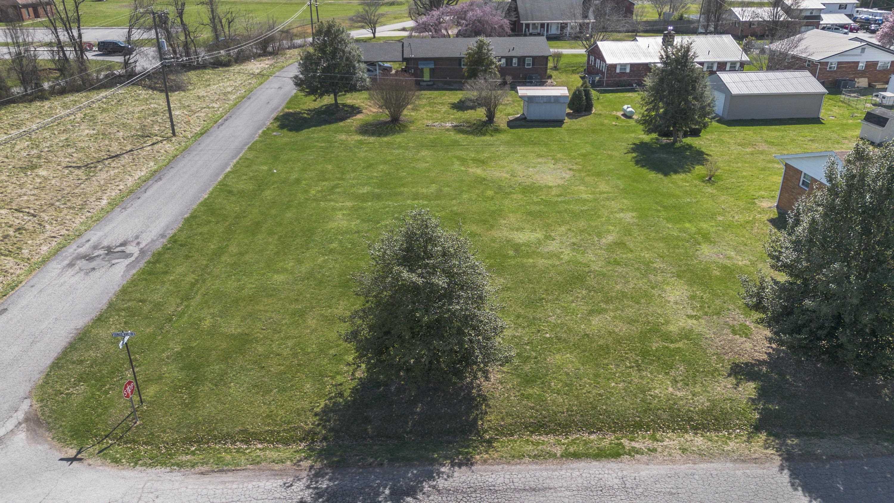 0 Tango Avenue Raceland, KY 41169 - Photo 4 of 10