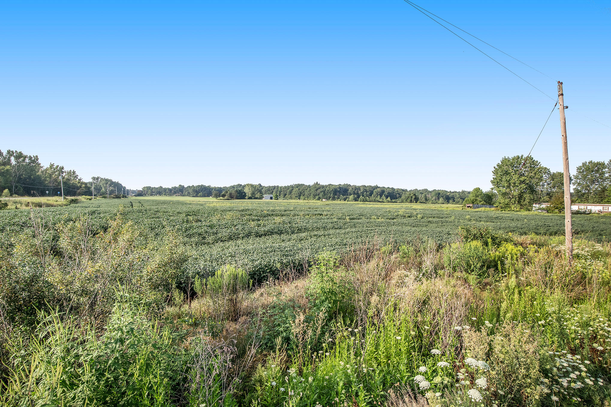 58121 Butcher Road Hartford, MI 49057 - Photo 2 of 17 IMG_0326