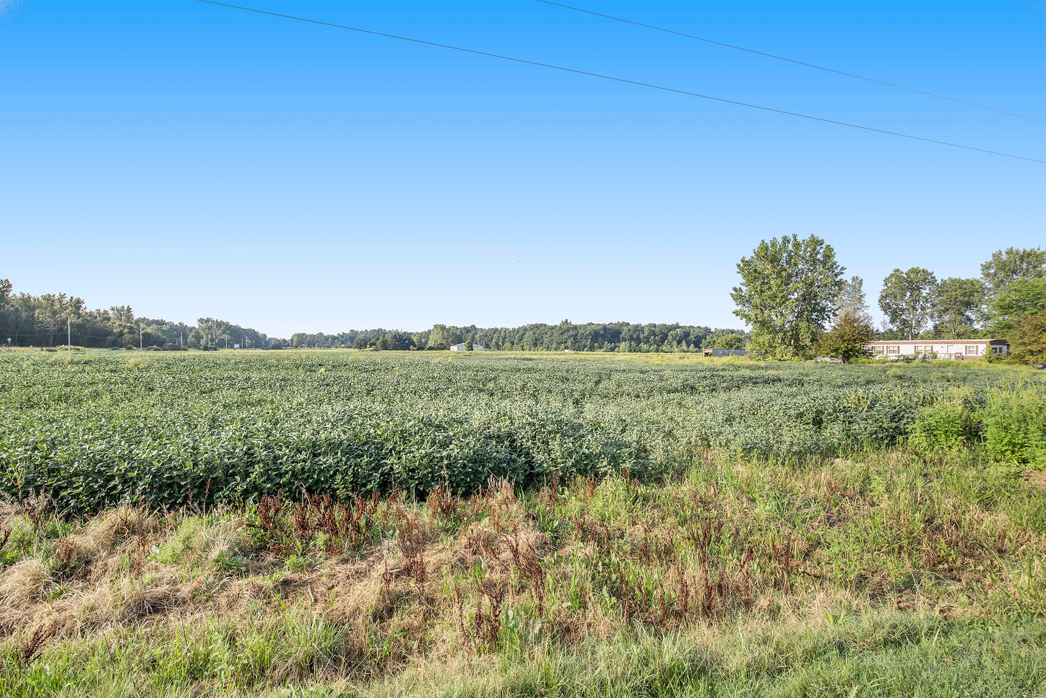 58121 Butcher Road Hartford, MI 49057 - Photo 3 of 17 IMG_0325