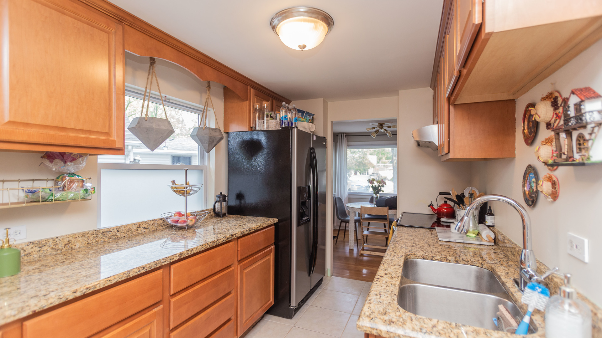 1519 Potter Road Park Ridge, IL 60068 - Photo 9 of 20