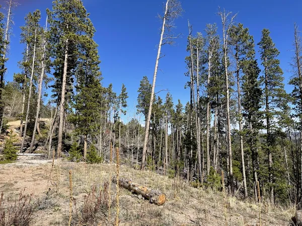 $77,000 | 66 Piegan Court, Red Feather Lakes, CO 80545