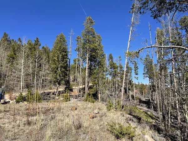$77,000 | 66 Piegan Court, Red Feather Lakes, CO 80545