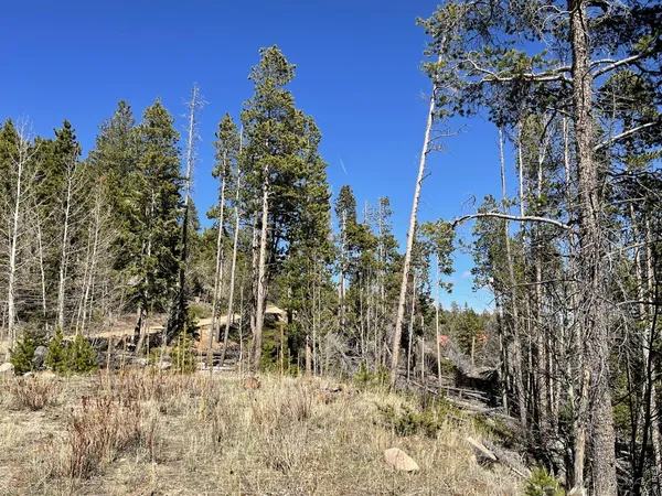 $77,000 | 66 Piegan Court, Red Feather Lakes, CO 80545