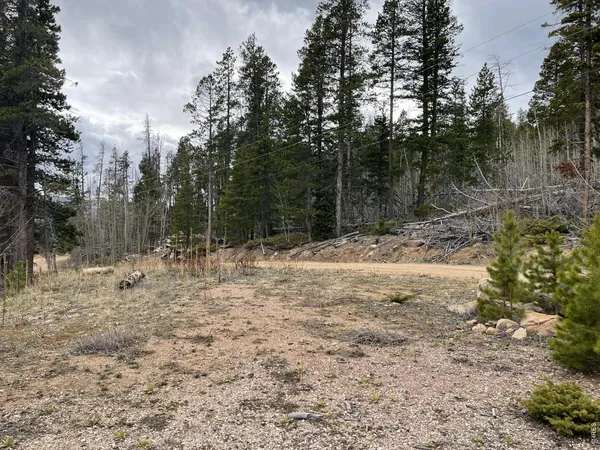 $77,000 | 66 Piegan Court, Red Feather Lakes, CO 80545