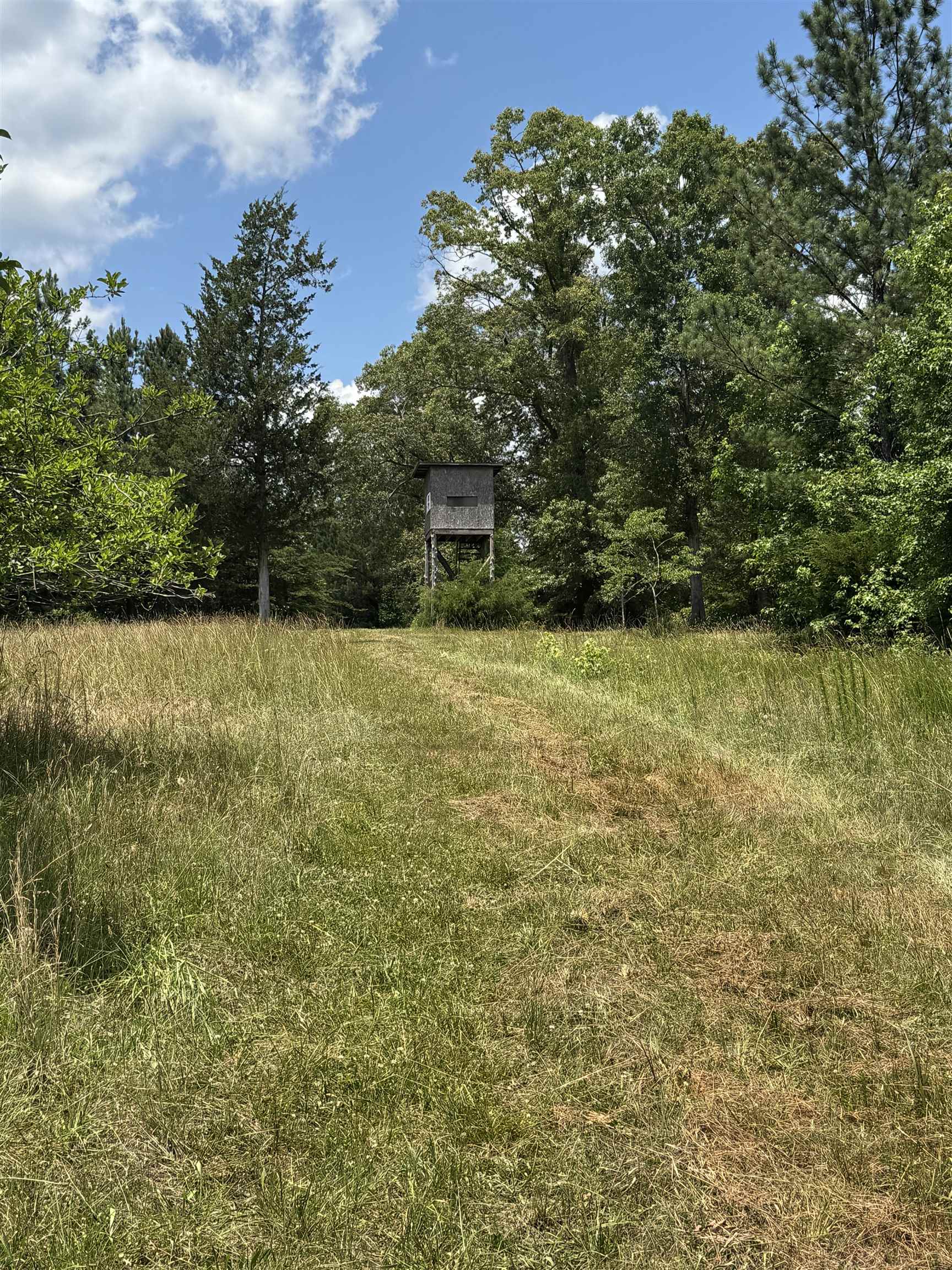 246 Lee Road Jonesville, SC 29353 - Photo 2 of 38