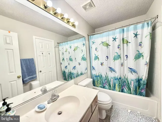 a bathroom with a sink a toilet and shower curtain