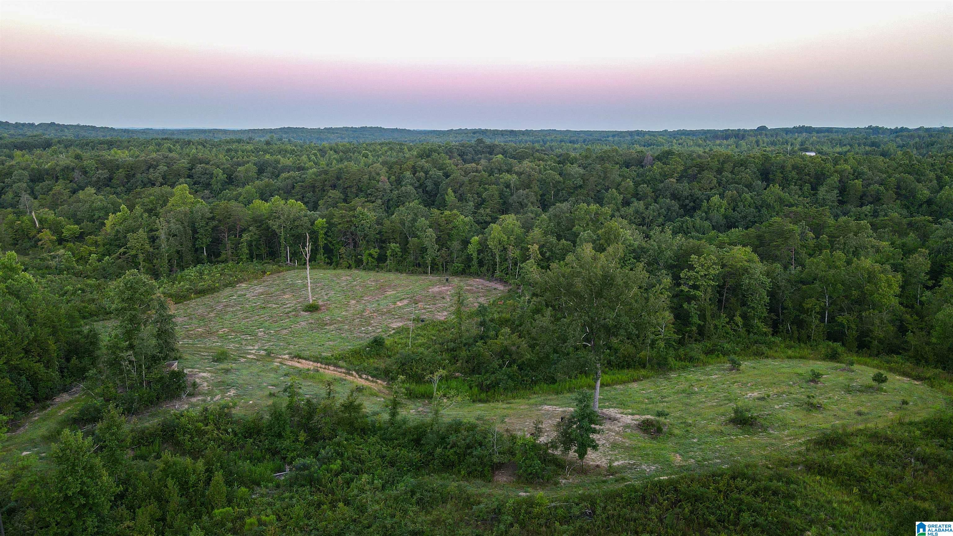 Bonner Drive, Unit 1 Berry, AL 35546 - Photo 53 of 56