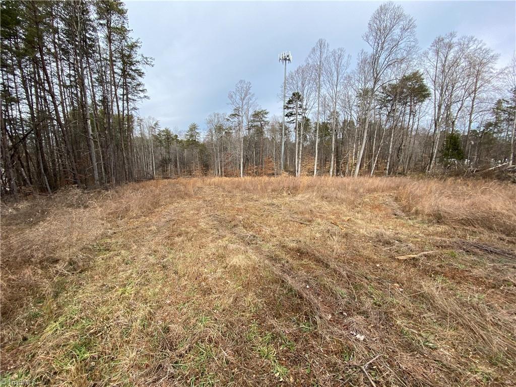 0 William Fowler Road King, NC 27021 - Photo 4 of 14