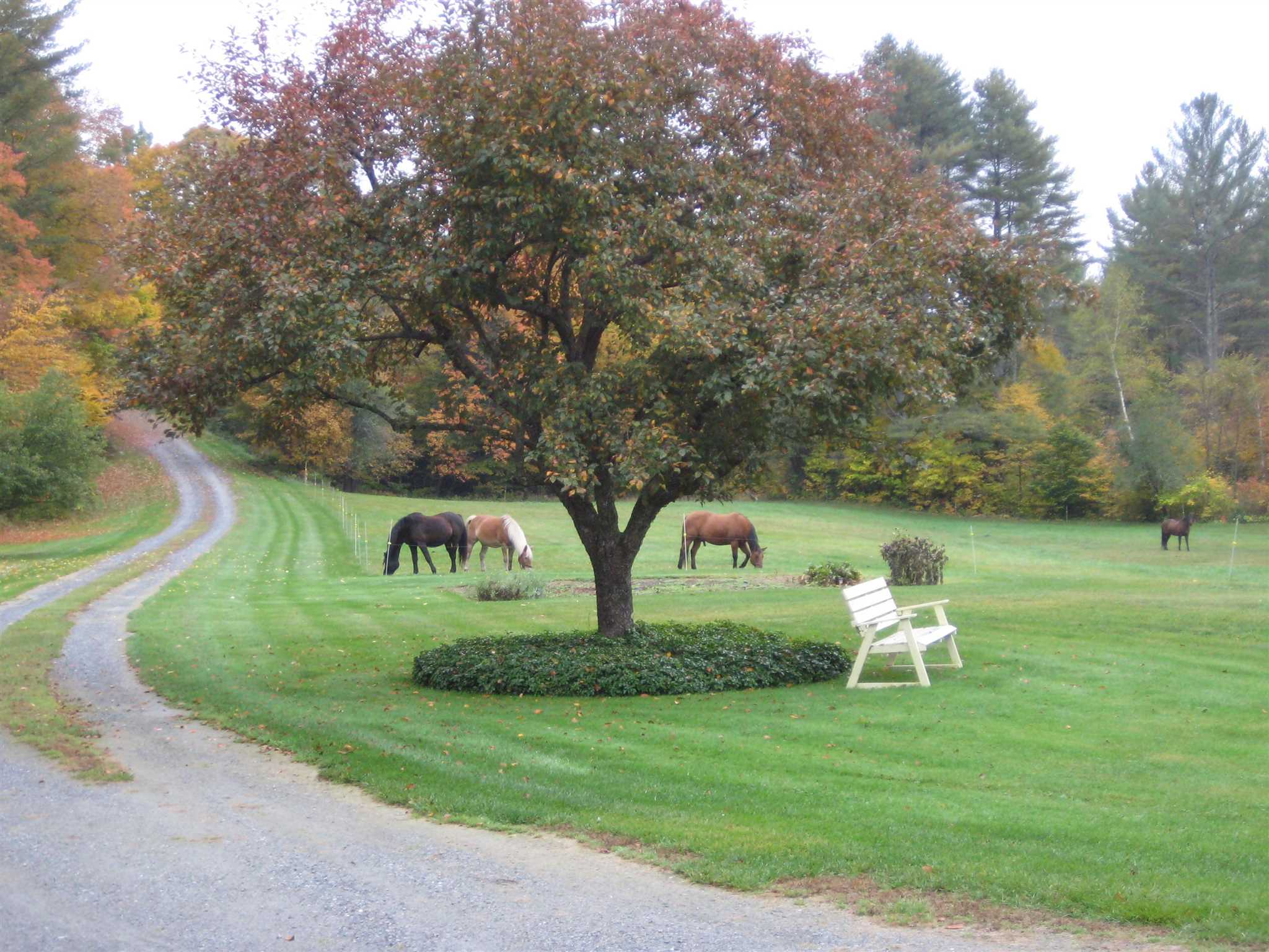 2034 Stony Brook Road Stockbridge, VT 05772 - Photo 36 of 40 Gallery Image 36