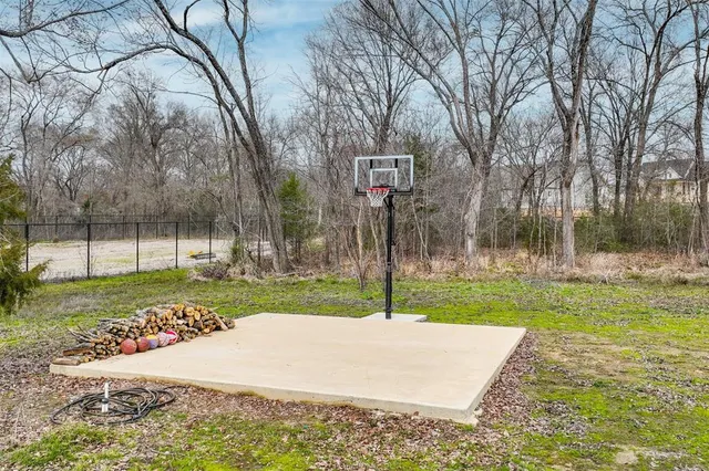 a view of a park with a tree