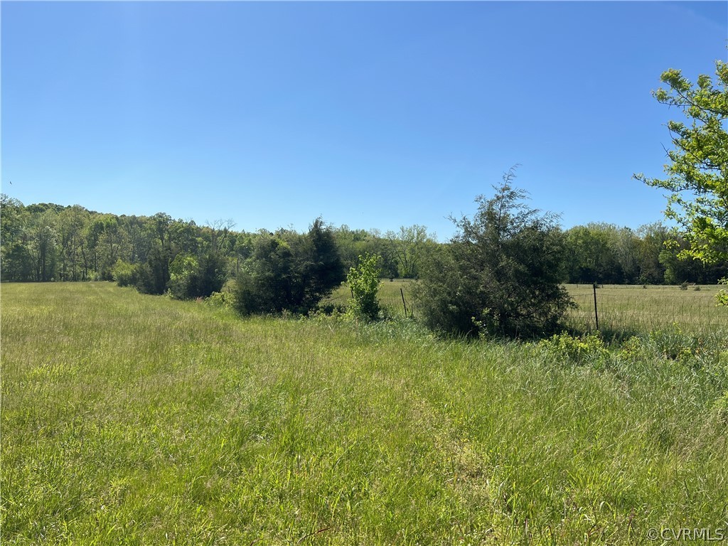 Tbd Watoga Buckingham, VA 23936 - Photo 17 of 50 a view of a field of grass and trees