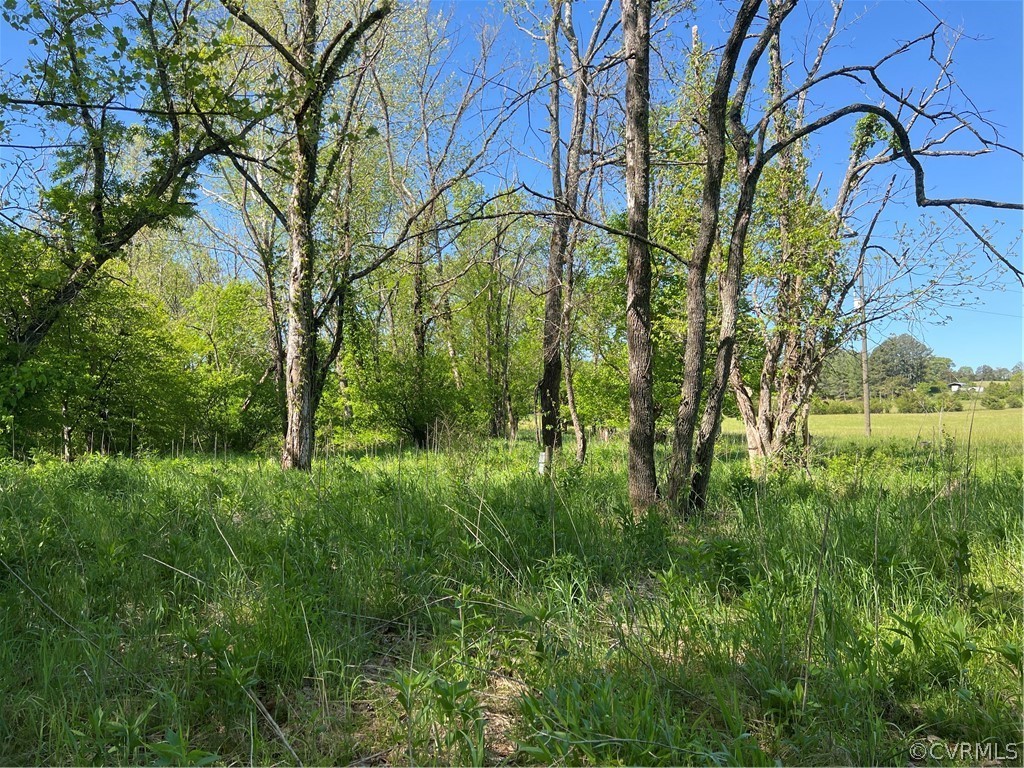 Tbd Watoga Buckingham, VA 23936 - Photo 21 of 50 a view of a yard with plants and trees