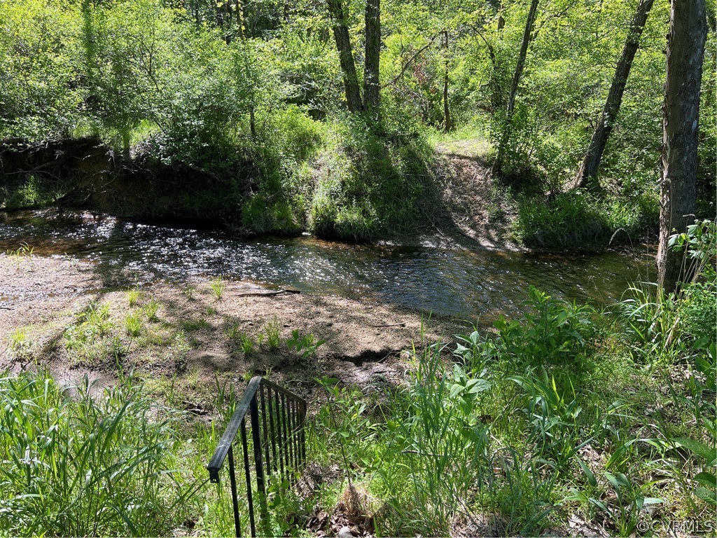 Tbd Watoga Buckingham, VA 23936 - Photo 22 of 50 a view of backyard with green space