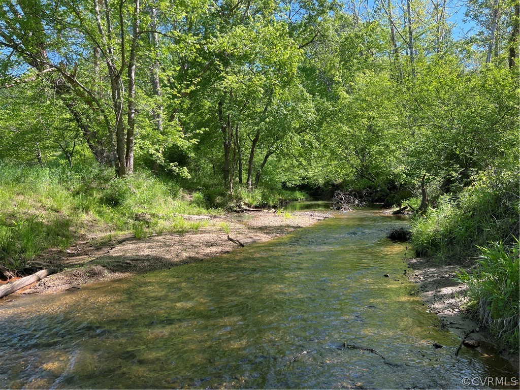 Tbd Watoga Buckingham, VA 23936 - Photo 23 of 50 a view of outdoor space and yard