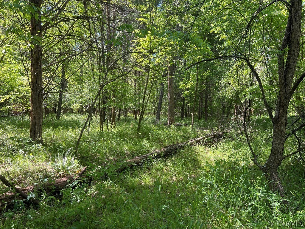 Tbd Watoga Buckingham, VA 23936 - Photo 25 of 50 a view of outdoor space and trees all around