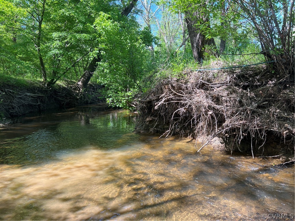 Tbd Watoga Buckingham, VA 23936 - Photo 26 of 50 a view of lake with green space