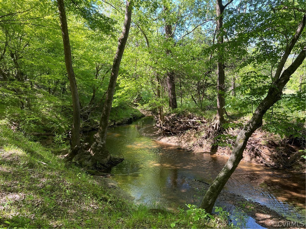 Tbd Watoga Buckingham, VA 23936 - Photo 28 of 50