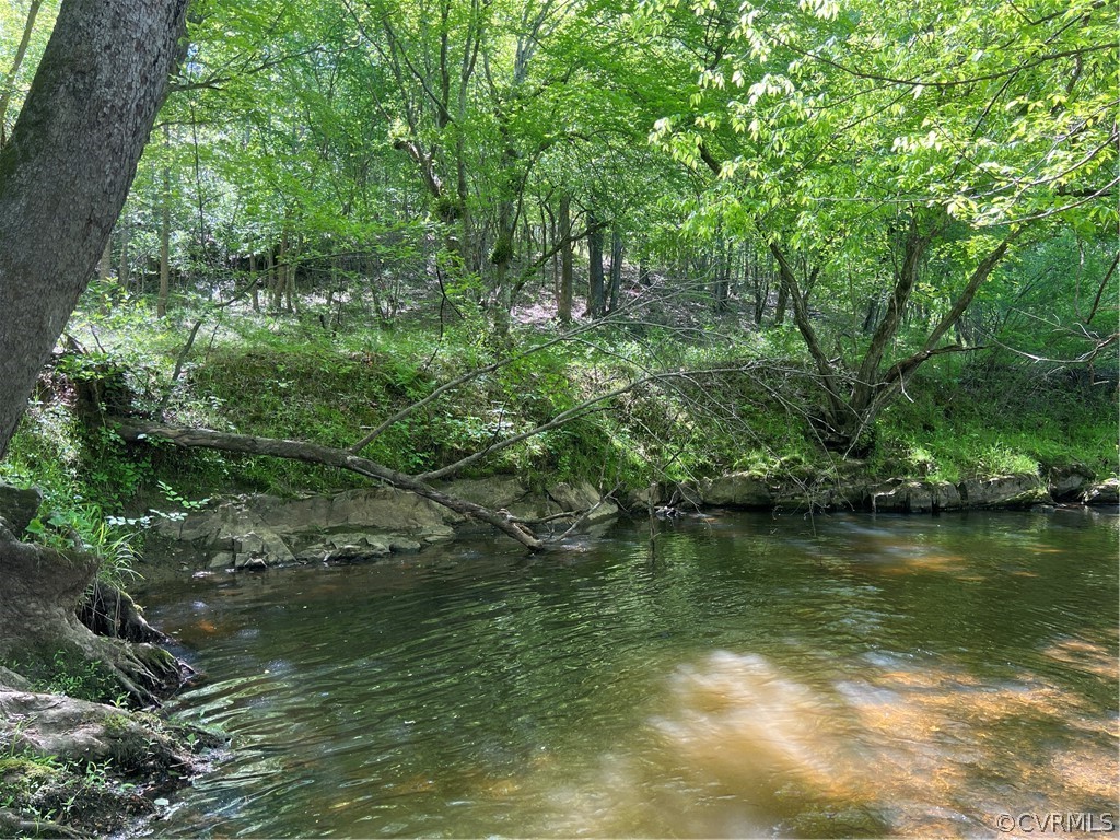 Tbd Watoga Buckingham, VA 23936 - Photo 29 of 50 a view of lake with green space