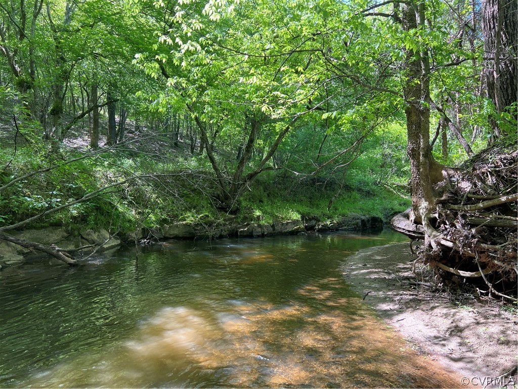 Tbd Watoga Buckingham, VA 23936 - Photo 30 of 50 a view of a lake with green space