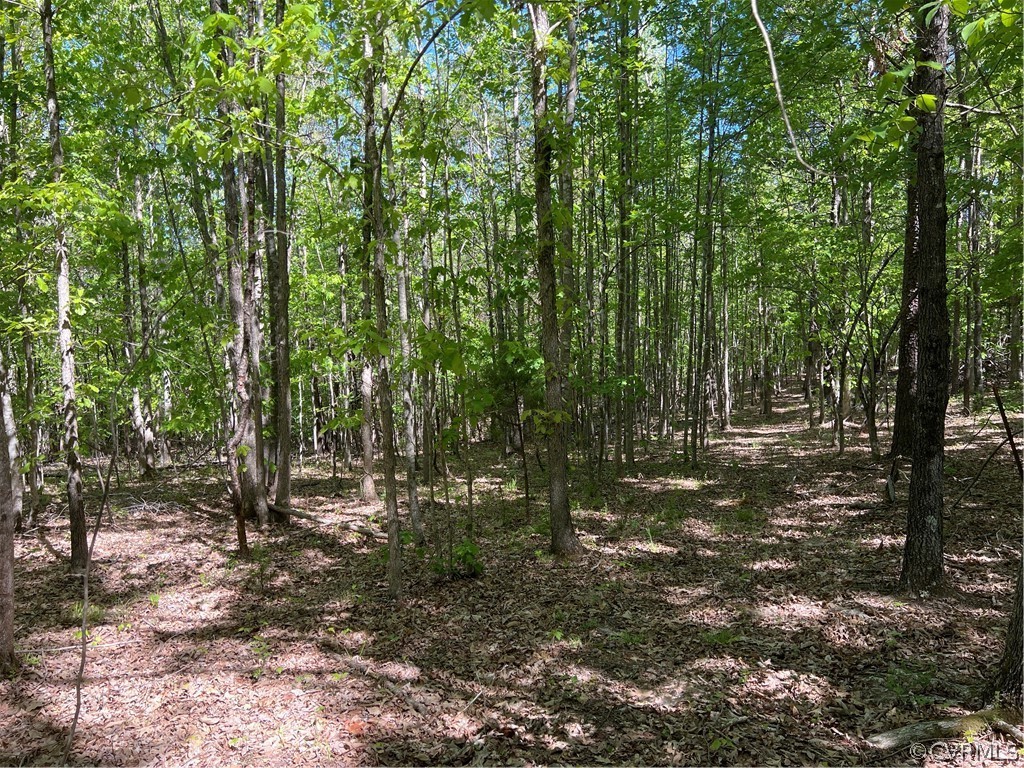 Tbd Watoga Buckingham, VA 23936 - Photo 37 of 50 a view of outdoor space and green space