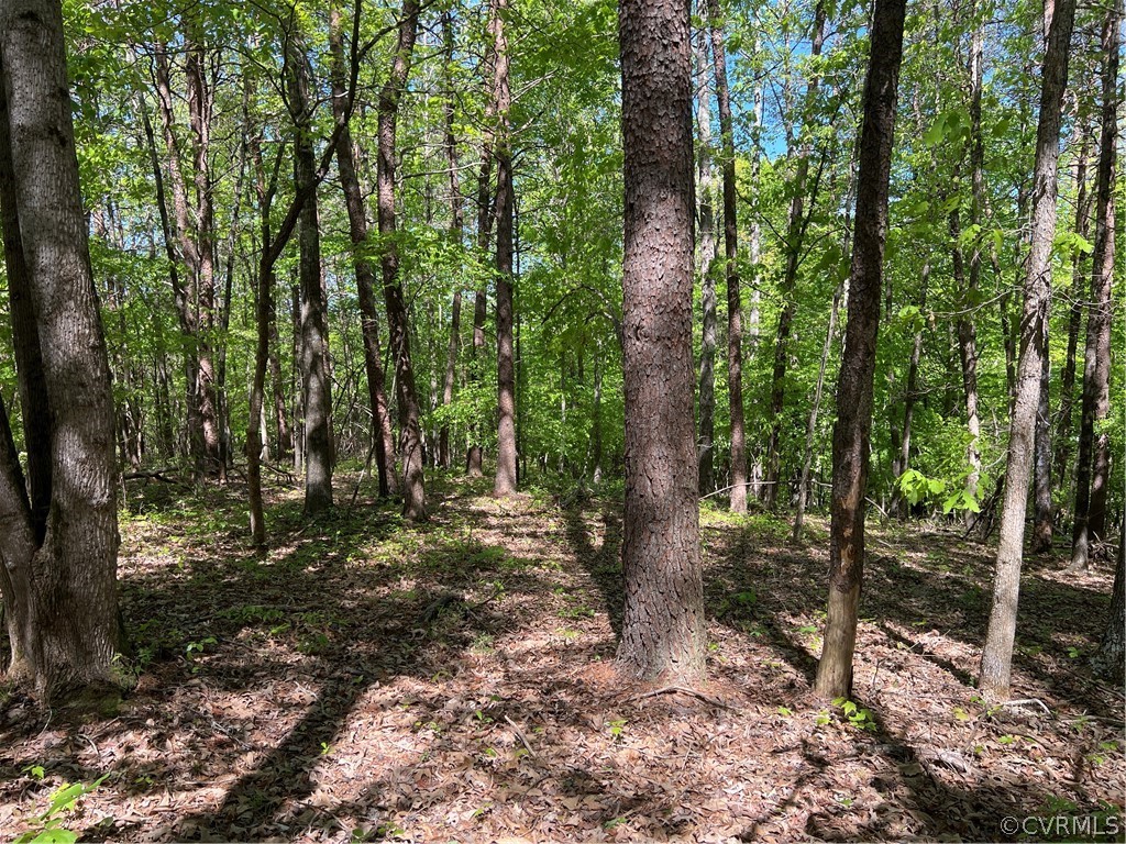 Tbd Watoga Buckingham, VA 23936 - Photo 38 of 50 a view of outdoor space and trees