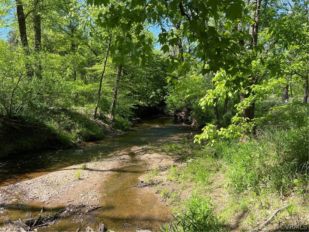 Tbd Watoga Buckingham, VA 23936 - Photo 43 of 50 a view of a yard with plants and large trees