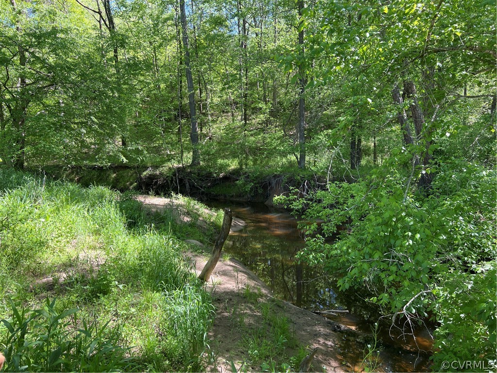 Tbd Watoga Buckingham, VA 23936 - Photo 44 of 50 a view of a lush green forest with lots of trees