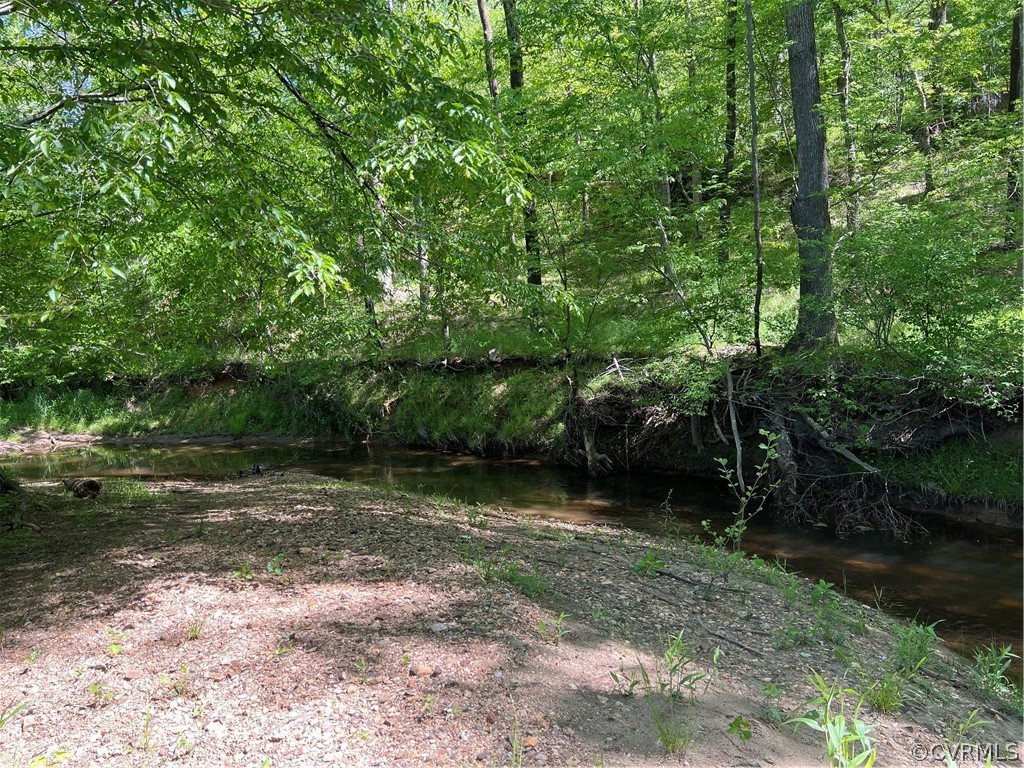 Tbd Watoga Buckingham, VA 23936 - Photo 45 of 50 a view of outdoor space and yard
