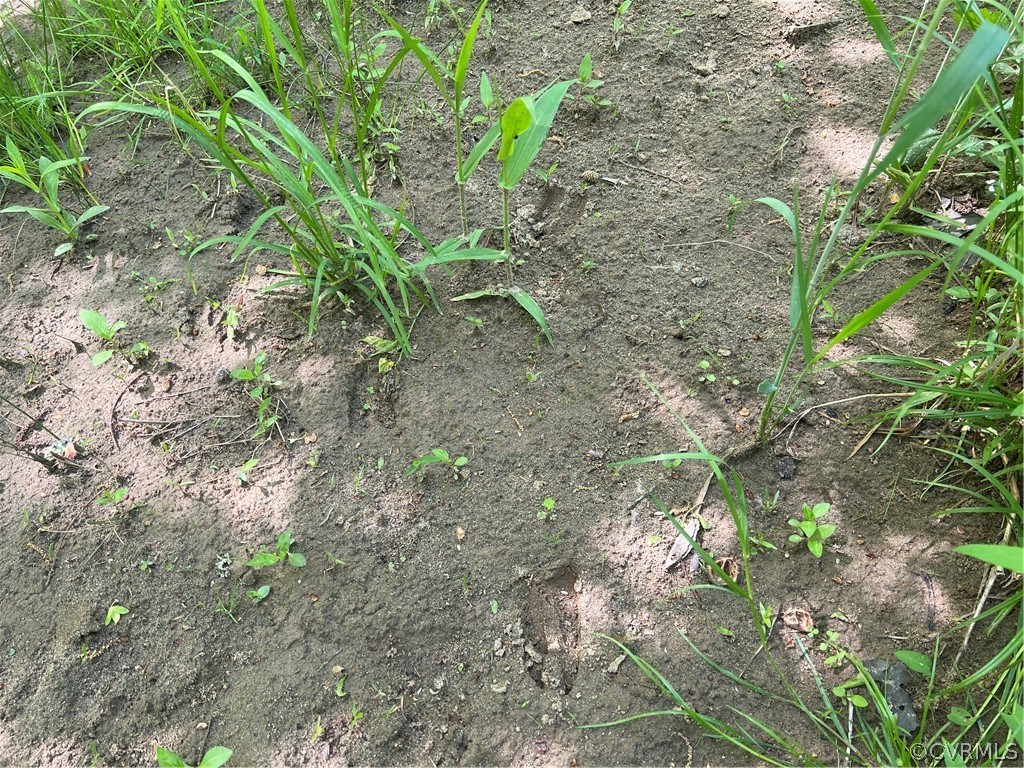 Tbd Watoga Buckingham, VA 23936 - Photo 46 of 50 a backyard of a house
