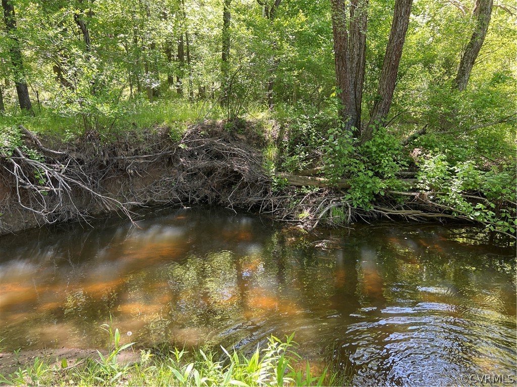 Tbd Watoga Buckingham, VA 23936 - Photo 47 of 50 a view of lake