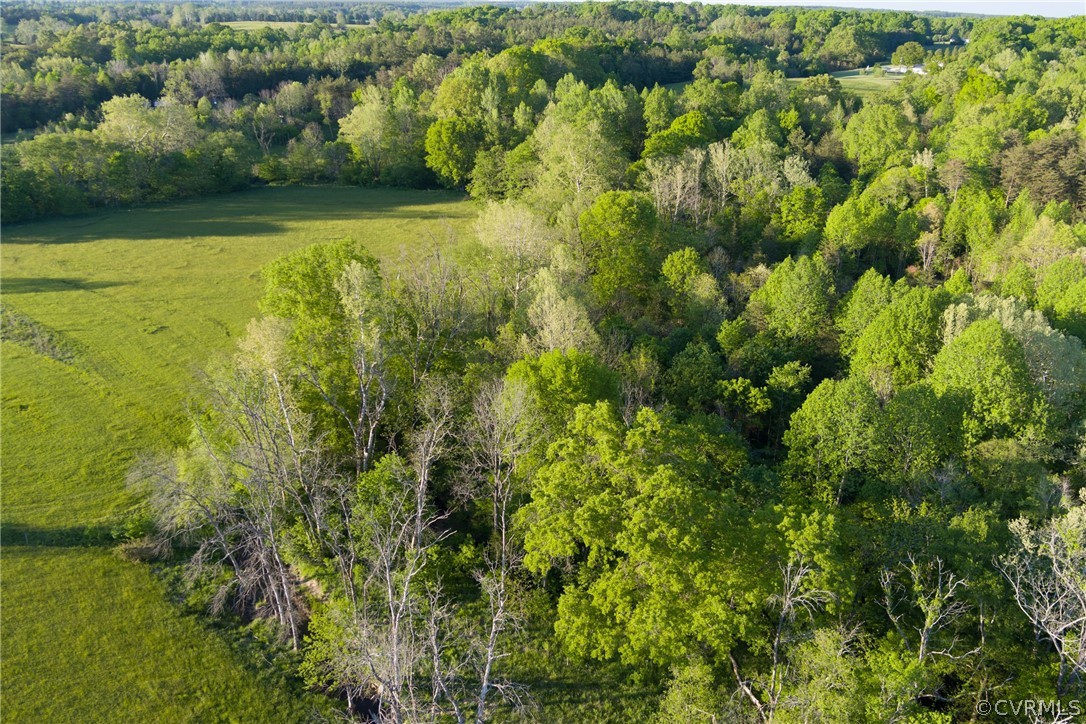 Tbd Watoga Buckingham, VA 23936 - Photo 8 of 50