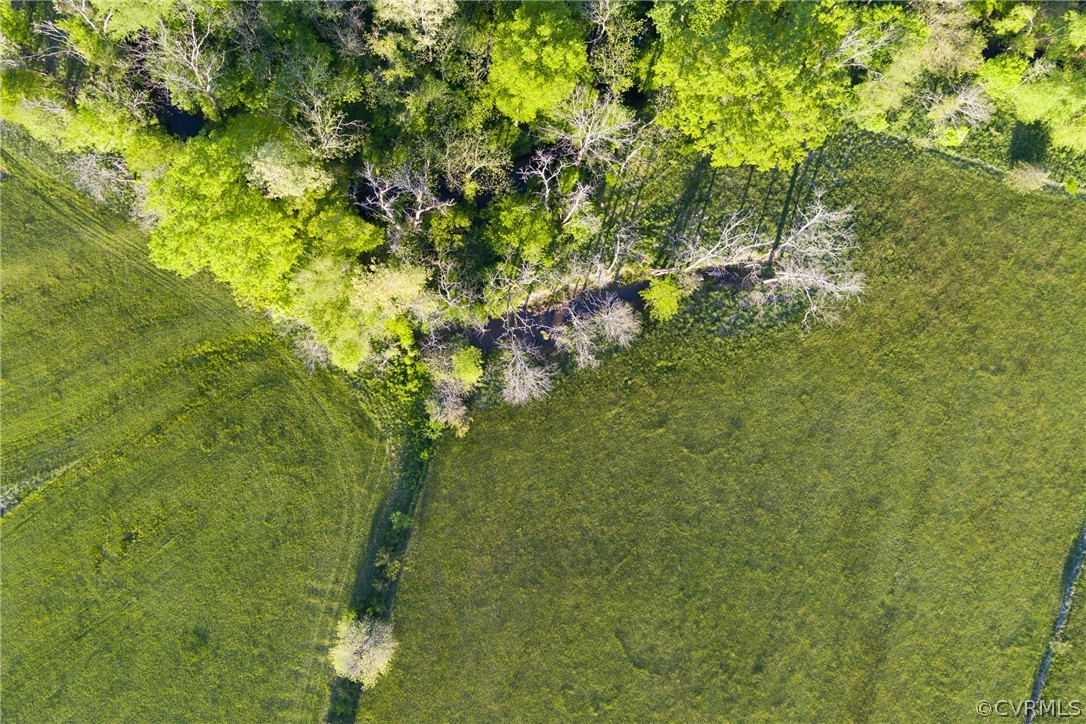 Tbd Watoga Buckingham, VA 23936 - Photo 9 of 50 a view of a tree