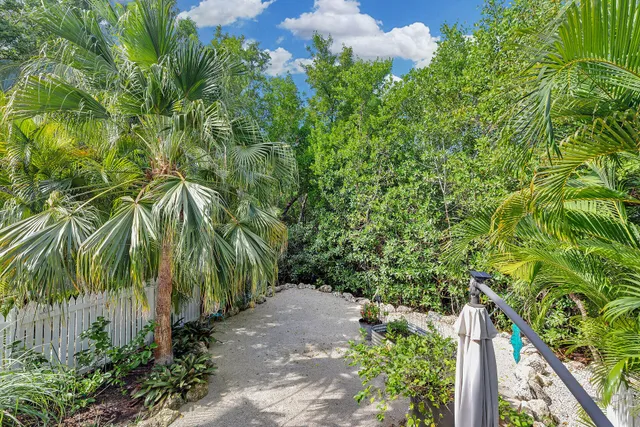 a view of a garden with plants