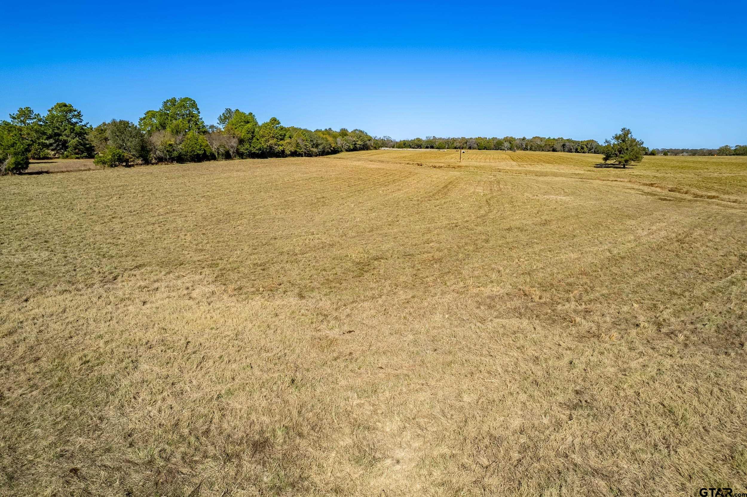 1504 Wills Point Wills Point, TX 75169 - Photo 8 of 17