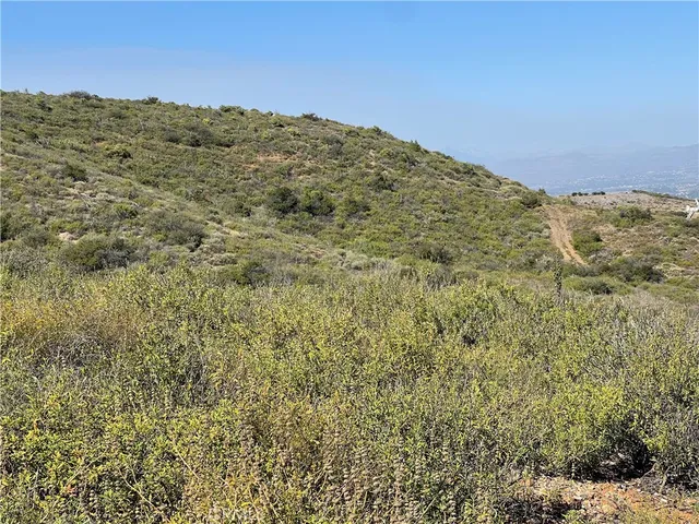 a view of a mountain range with trees in the background