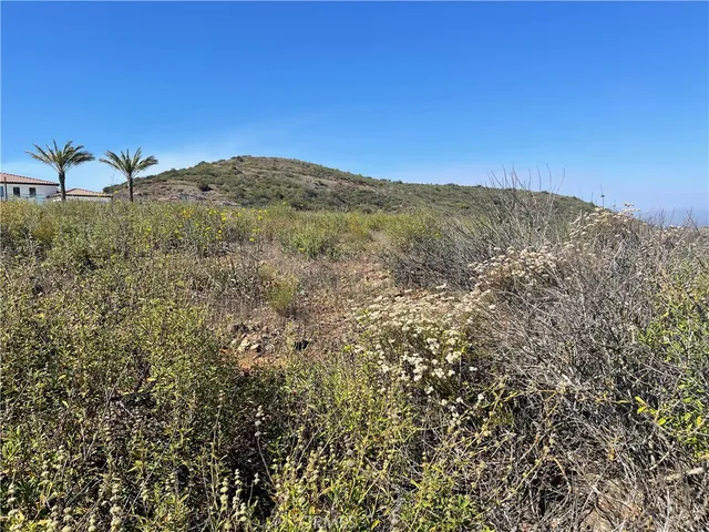 a view of a dry yard with green space