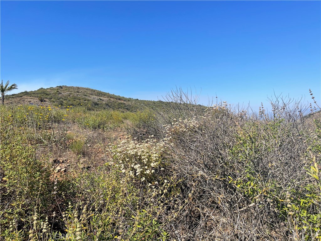 0 Masako Circle Temecula, CA 92590 - Photo 5 of 7