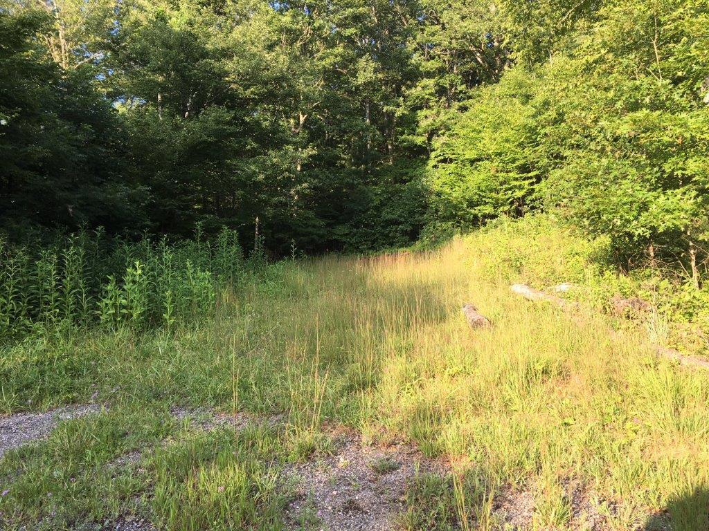 0 River Ridge Road Southeast Floyd, VA 24091 - Photo 3 of 6 a view of swimming pool from a yard